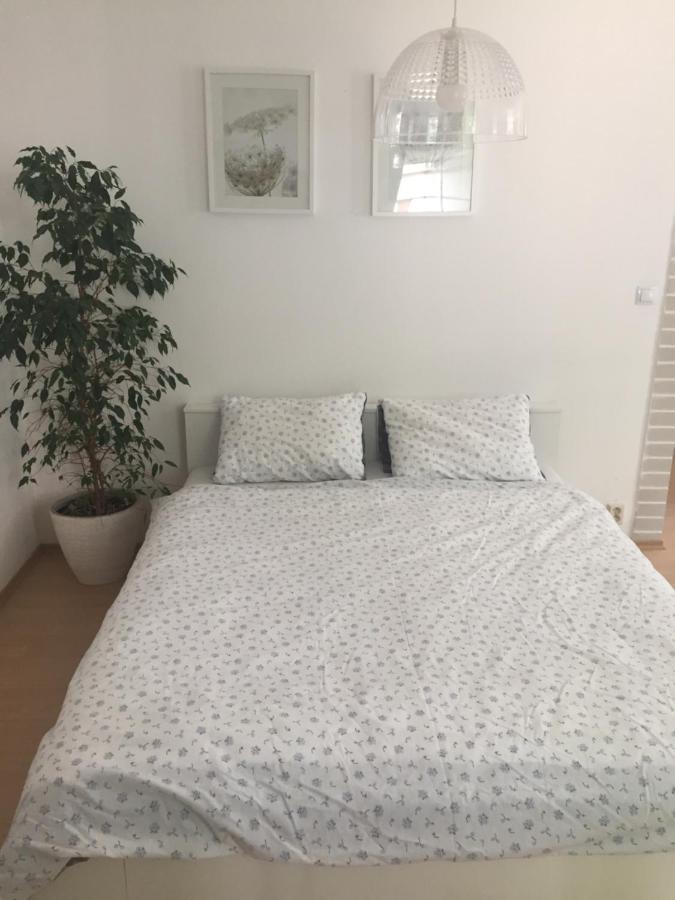 דירות זנוימו Apartman U Papousku מראה חיצוני תמונה